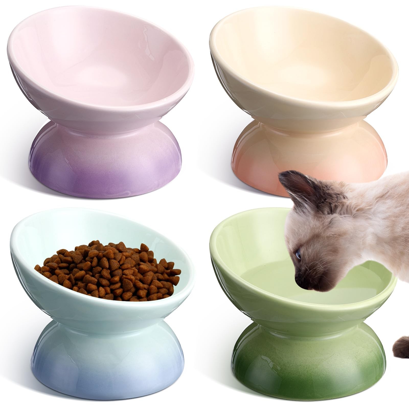 Bowls Anti Vomiting, 4 Colors