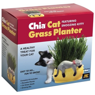 Chia Pet Kitty Cat Grass, Decorative Pottery Planter, Easy to Do and Fun to G...