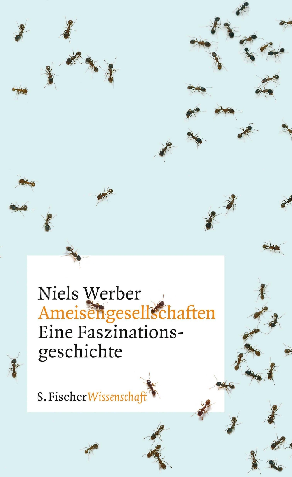 Thumbnail - Ameisengesellschaften, Niels Werber