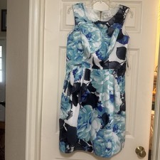 Eliza J Beautiful Women's Fit & Flare Blue, Black Floral, Lined, Size 12 Dress