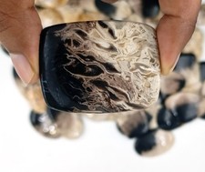 Natural Palm Root Agate Cabochon For Unique Jewelry Making Wholesale Lot 72493
