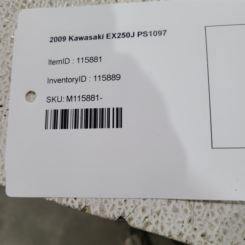 Kawasaki EX250 250 2009 OEM rueda delantera Enkei y neumático Shinko 110/70-17 PS1097 - Imagen 9 de 9