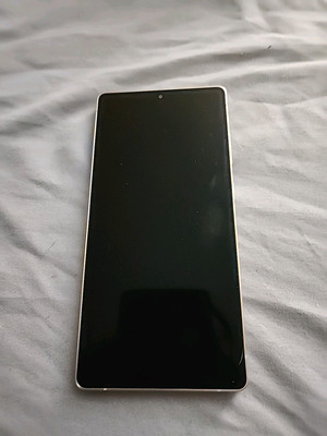 Samsung Galaxy S25 Ultra