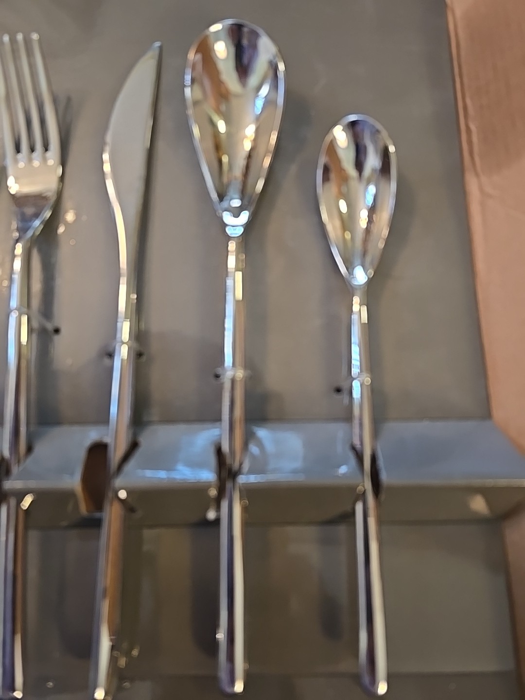 Fortessa DRAGONFLY 5 Pc Stainless 18/10 Glossy Flatware Service For 4 