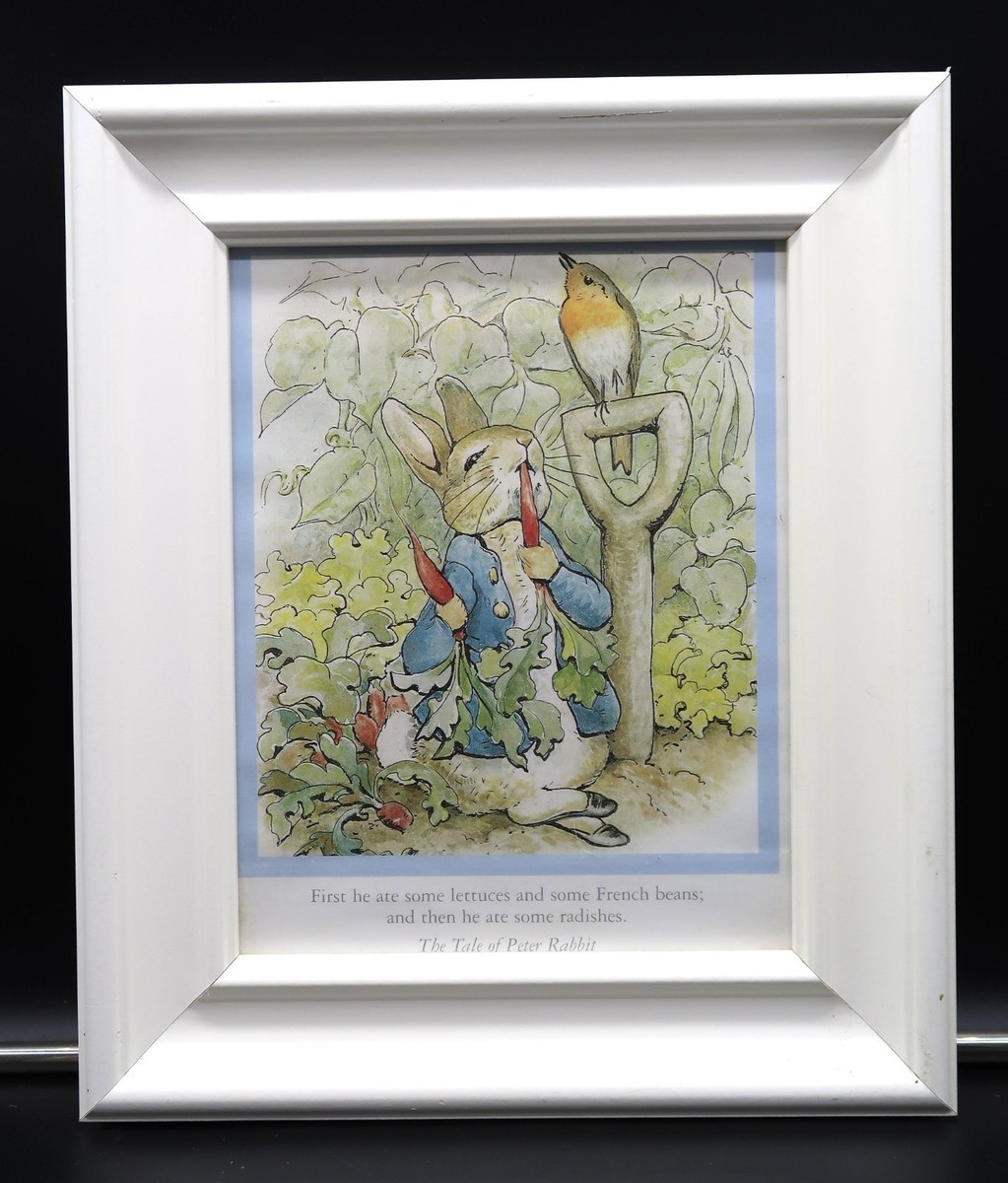 Vtg Beatrix Potter Tale of Peter Rabbit Framed Print Illustration