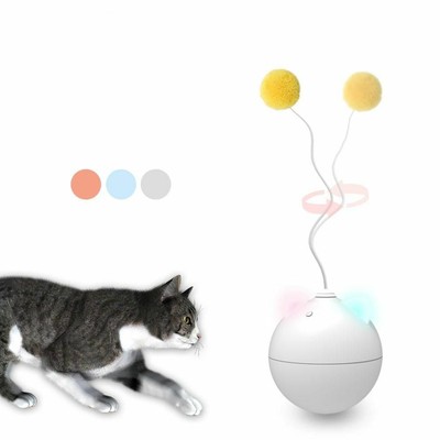 cat toys automatic