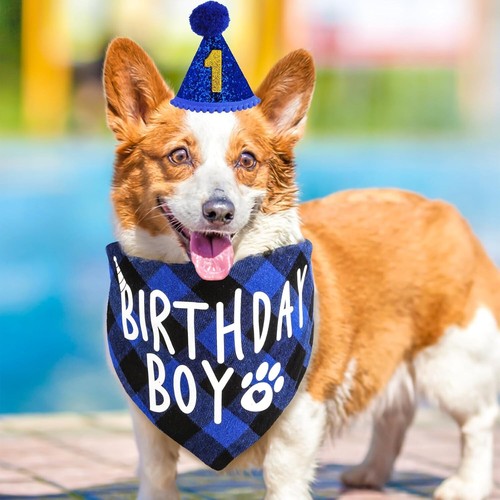 Bandana Hat with 8 Bling Number Pet Dog Birthday Party - Picture 4 of 7