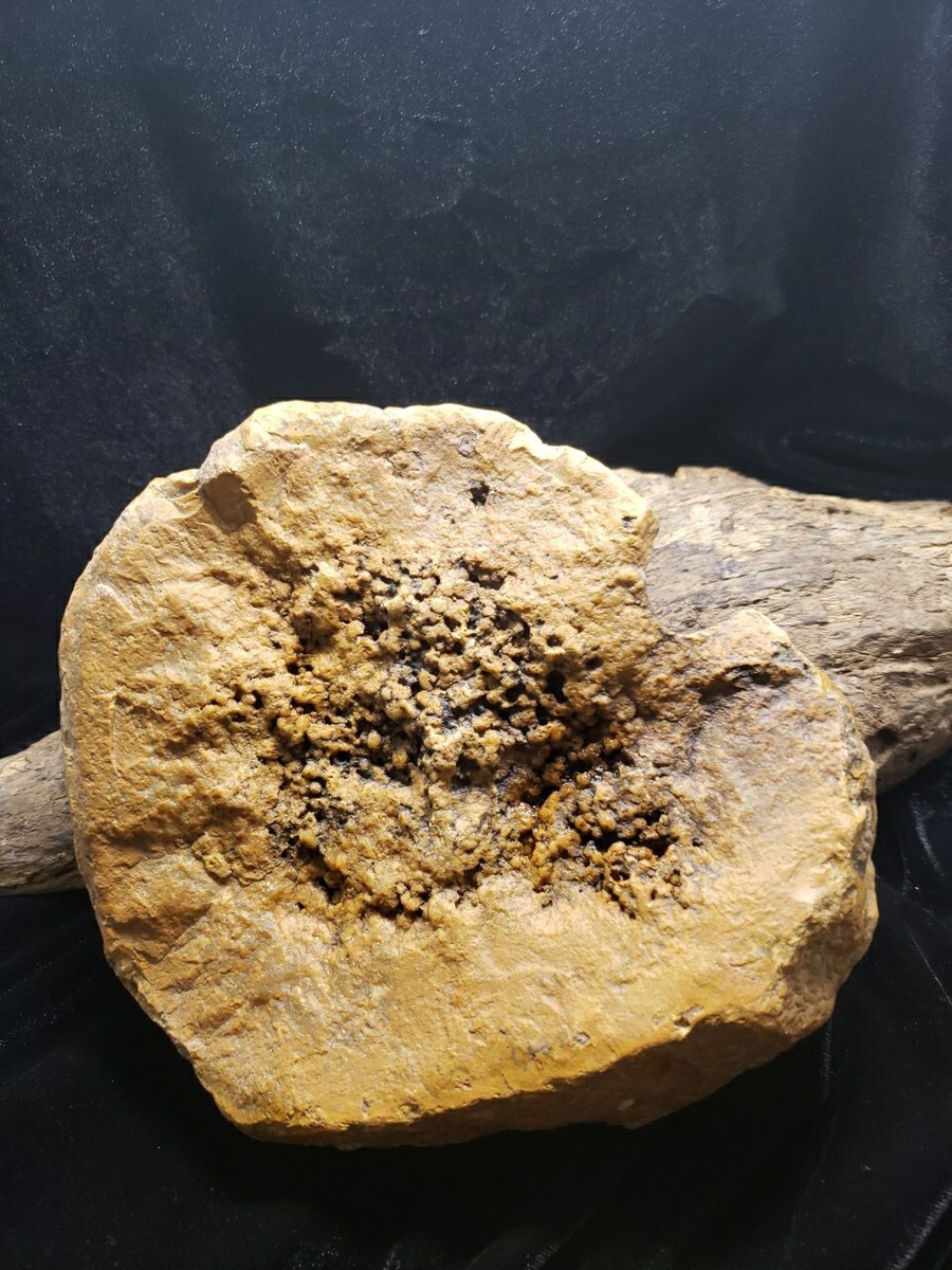 画材 Yellow jasper genuine Large Raw Golden Yellow Jasper Rough-Cut & Polished on Face