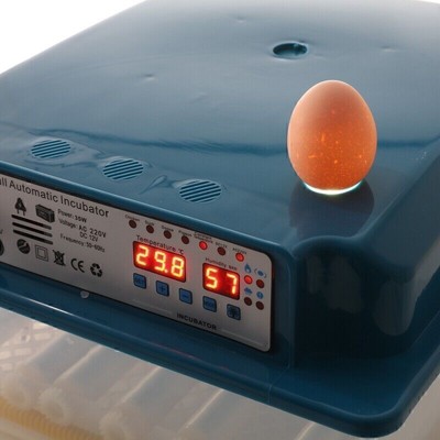 Vollautomatische Brutmaschine 36 Eier Brutapparat Flächenbrüter Brüter Inkubator