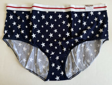 Lane Bryant Cacique 22/24 Panty Navy High Leg Brief Wide Waistband Underwear