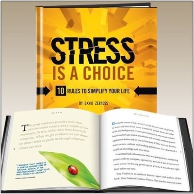 Stress Is a Choice : 10 Rules to Simplify your Life By David Zer