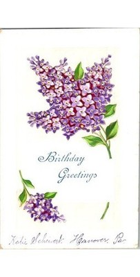 Lilac Chromo Postcard 1910s Cosmos Series-Katie Scheivert Hanover PA to MD
