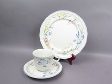 9659:Villeroy Boch V&B Riviera Blumendekor ein Kaffee Gedeck mit Kuchenteller 