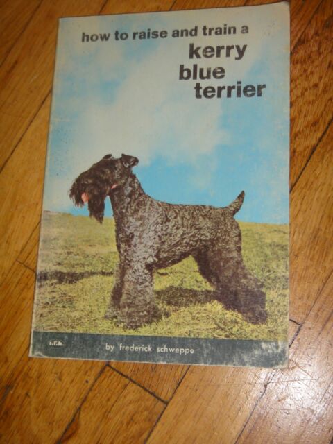 Dog Book HOW TO RAISE AND TRAIN A KERRY BLUE TERRIER ...