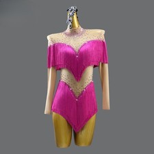 Latin Dance Dress Fringed Skirt Girls Dancewear Outfits Long Sleeves Costumes