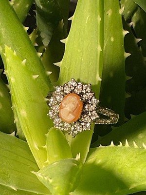 Cameo Hallo Silver And Rhodium Ring 8