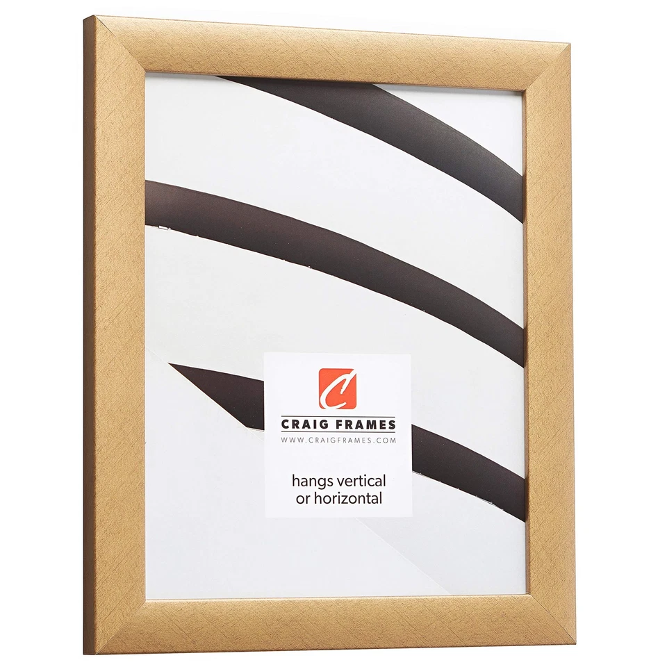 Craig Frames 23247006 11 X 14 英寸仿旧金色相框 — 第 2/4 张图片