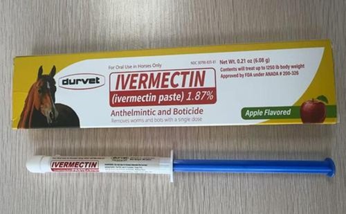 Pyrantel Paste Wormer by Durvet For Horses Dewormer 23.6 GM - Apple Flavor - Picture 13 of 13
