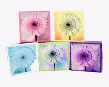 One Gerbera Daisy Two Sided Wooden Block Original Photo Digital Effects 5 Colors