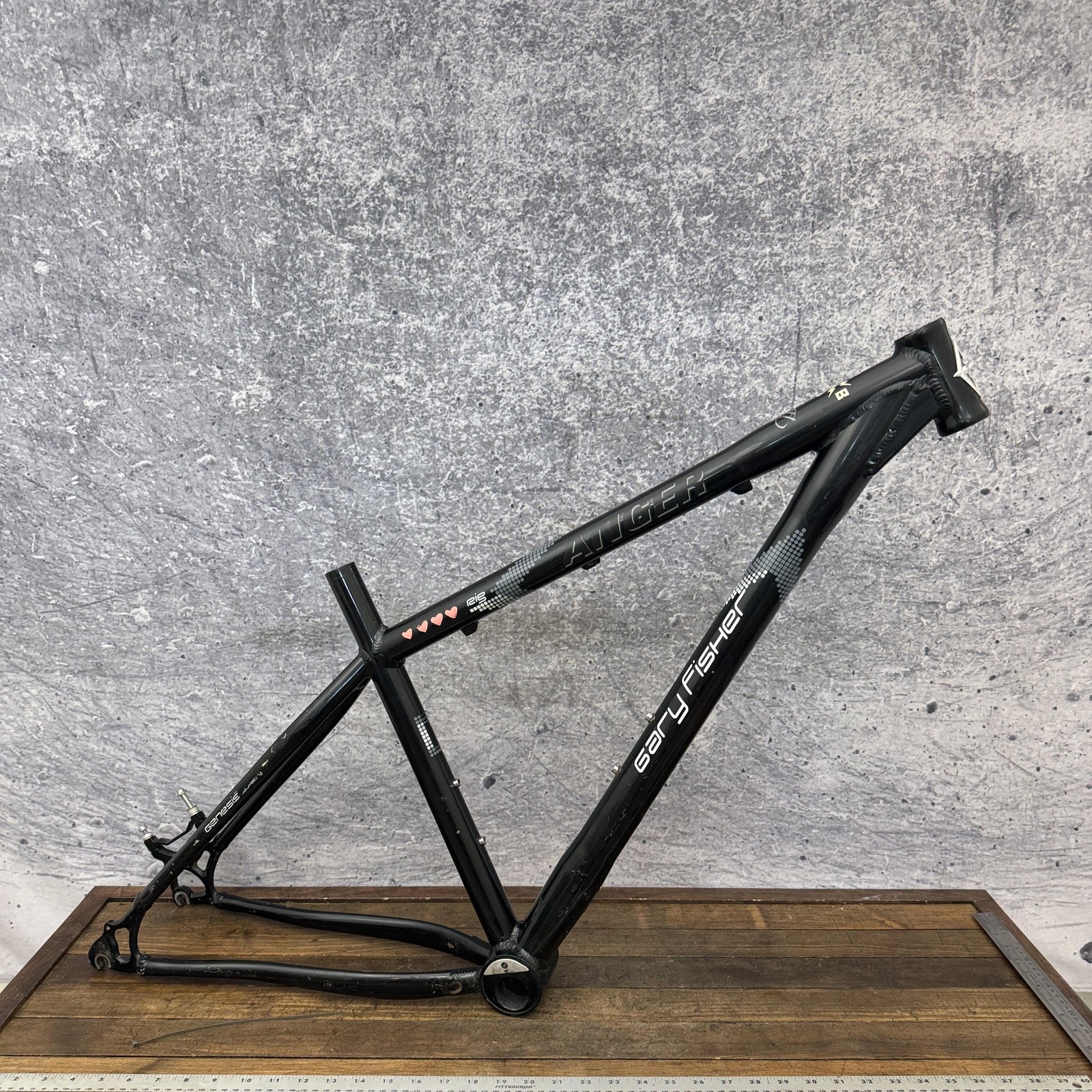 Gary Fisher Rig Anger Singlespeed 29 Disc Frame 18 46cm B Side Eccentric 135mm