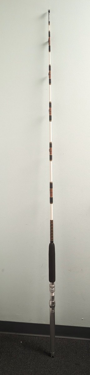 Fenwick Fenglass IGFA 50 Rod | eBay