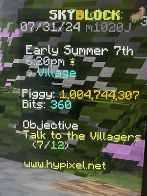 hypixel skyblock coins
