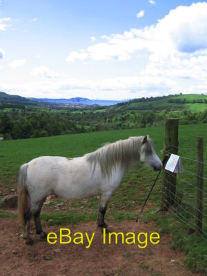 Foto 6x4 Very Smart Horse Meigle\/NS1965 Hing my map on the zaun to tak c2007