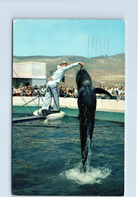 Bubbles Whale at Marineland of Pacific in Palos Verdes California c1960sPostcard