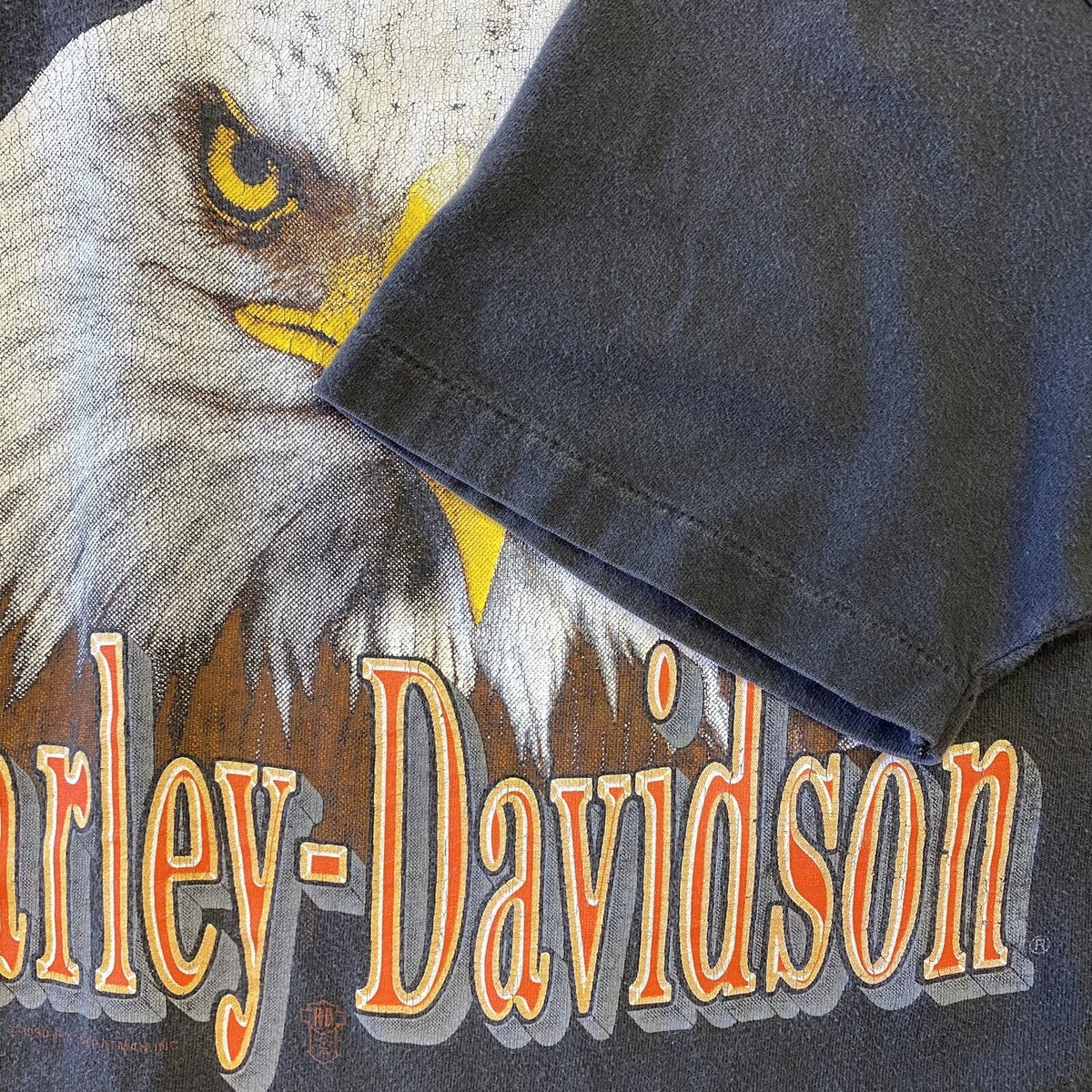 Vintage 90s Harley Davidson Eagle Graphic About to Develop
