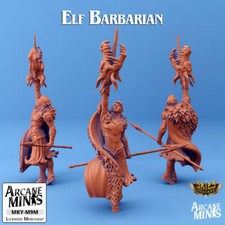 D D Miniature Elf Barbarian Dungeons and Dragons 2