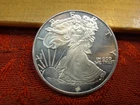 Walking Liberty Design One Half 1/2 Oz .999 Silver Bullion Round - No Reserve