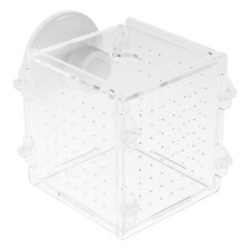 Guppy Scatola Allevamento