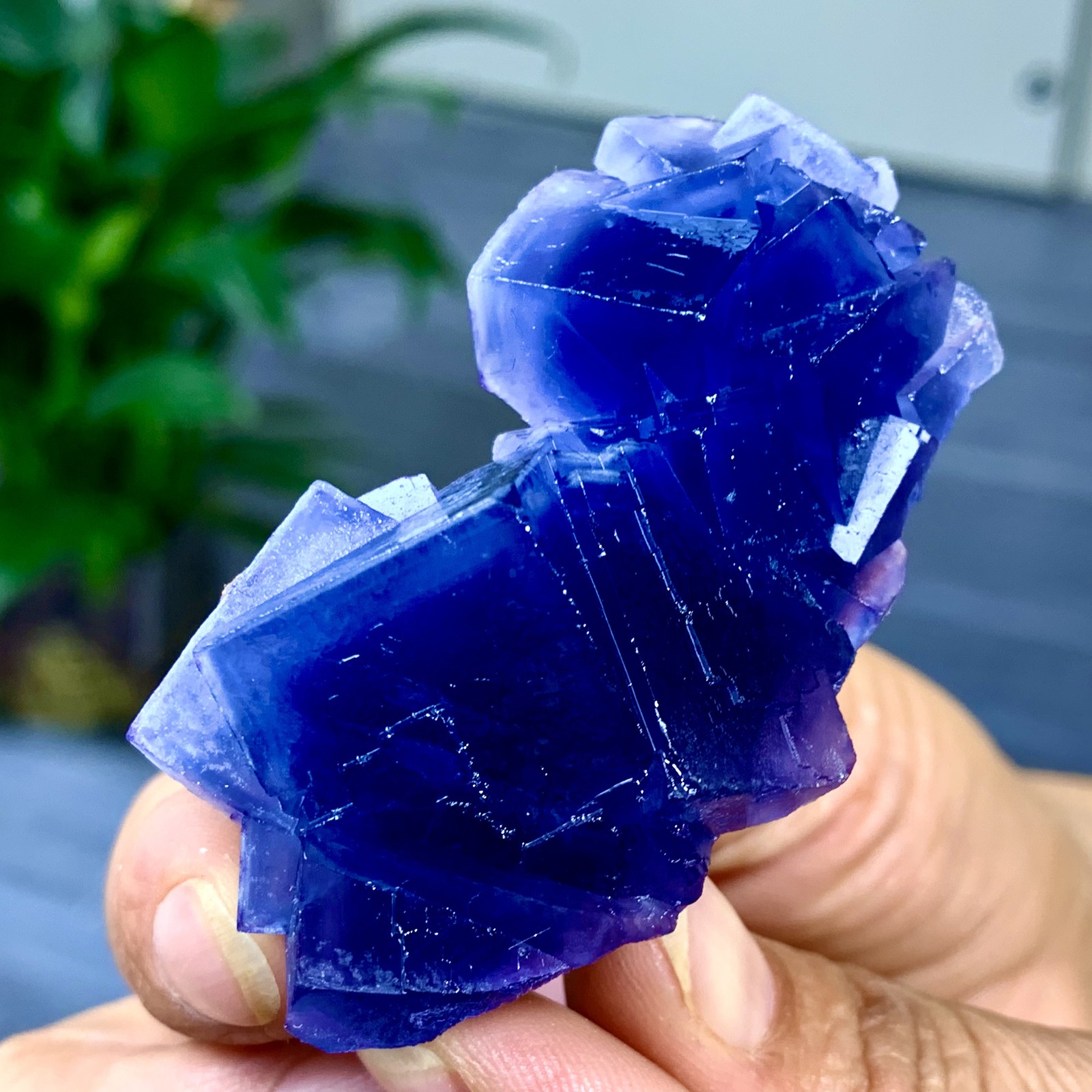 67G Natural Blue Fluorite Crystal Sphere Transparent Mineral Specimen China