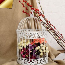 White Bird Cage Iron Bird Cage Wedding Birdcage Desktop Decor Candlestick Holder