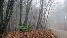 Landscape nature forest mist trees path leaves bench Custom Gaming Mat Desk