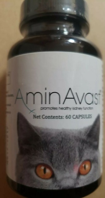Aminavast Kidney Support for Cats 60 Capsules for sale online | eBay