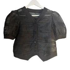 NWOT Sheer Puff-Sleeve Crop Blouse