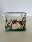 Vintage Cenedese Murano Barbini Aquarium Fish Art Glass Block 1950s