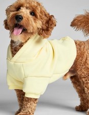 Comfrt Minimalist Paw Hoodie Buttercream Size L NEW