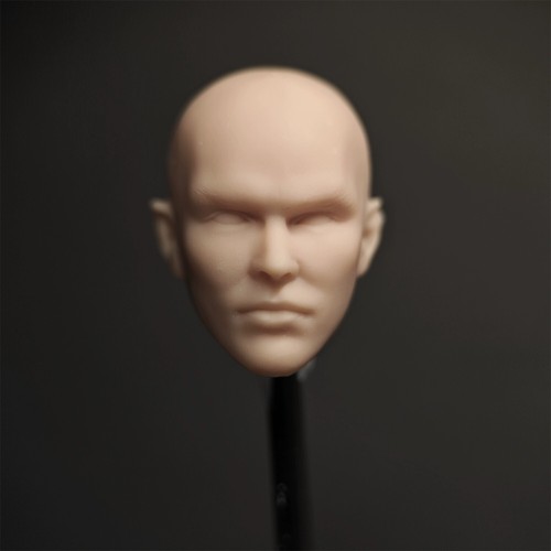 HL2084 1/12 unbemalt Nicholas Hoult männlicher Kopf Schnitzerei Modell Spielzeug - Bild 2 von 5