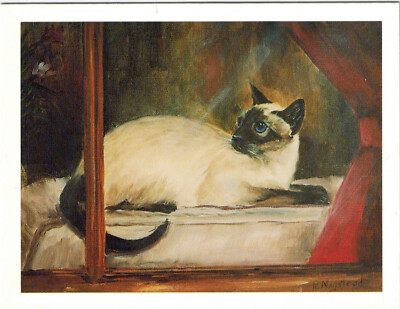 Black & White Siamese Cat Looking Backwards Notecard Set - 12 Blank Note Cards