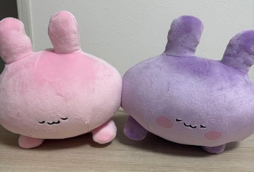 Asamimi-chan & Anemimi-chan Plush Arm Cushion Pillow Set 25cm Butt