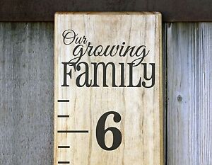 Diy Vinyl Growth Chart Ruler Decal Kit