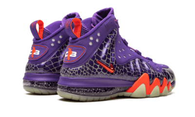 Q*A様 Nike Barkley Posite Max Suns Size 8 - Nike Barkley Posite Max Phoenix Suns for sale