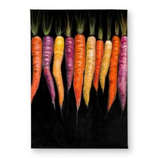 Begin Home Decor CODM1724QD14EO 17 x 24 in. Carrots Varieties Door Mat - Kitc...