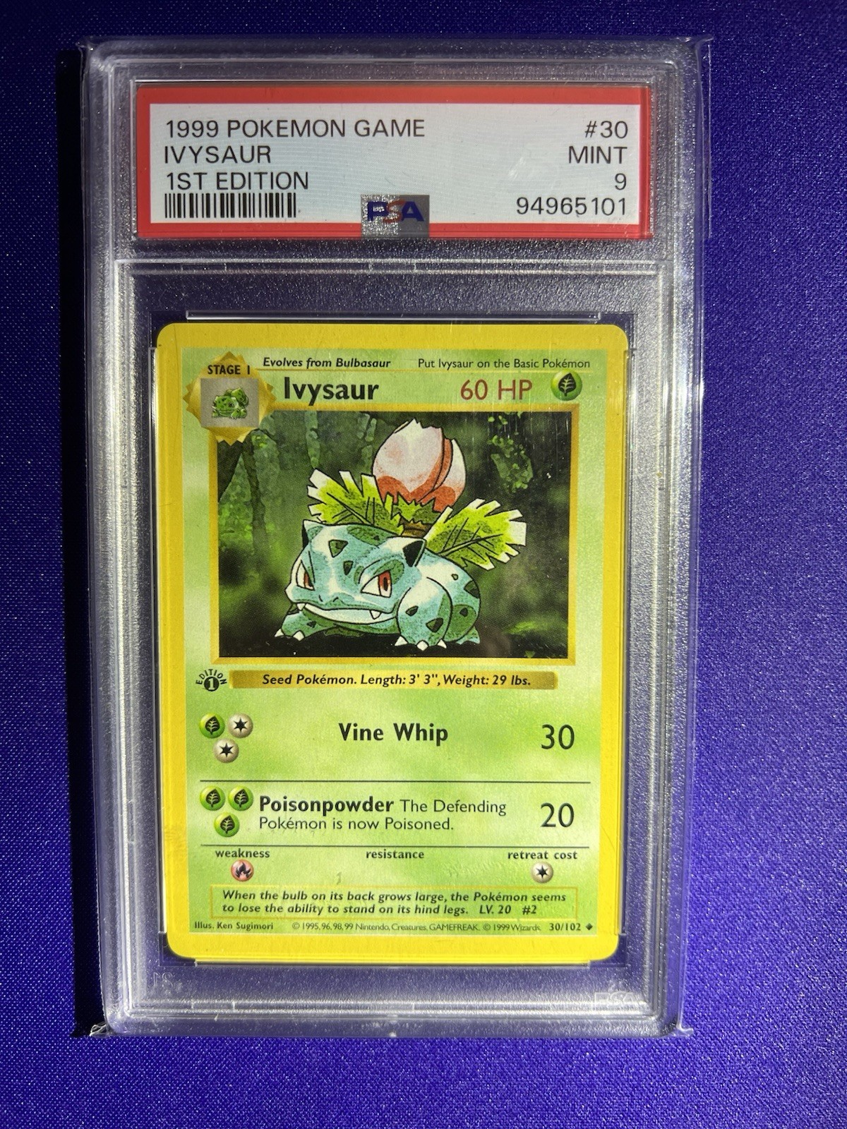 Foto 1 di 2