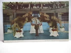 1950 ST LOUIS ZOOLOGICAL BOARD OF CONTROL POSTCARD  " LION SHOW " TRAINER, BIO