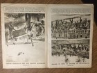 Le mirior no 96 September 26 1915. Good condition  — photo 4