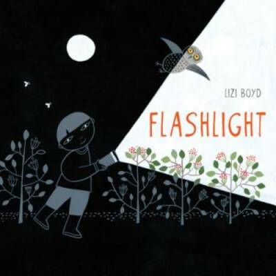 Flashlight - Hardcover By Boyd, Lizi - VERY GOOD
