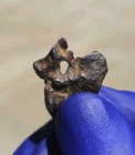 Agoudal Iron Meteorite 3.274g Individual Natural Hole Rare IIAB Iron COA — photo 1